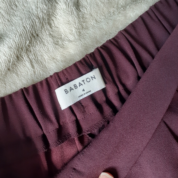 Aritzia Babaton Conan Pant (with pleats) - Picture 3 of 4